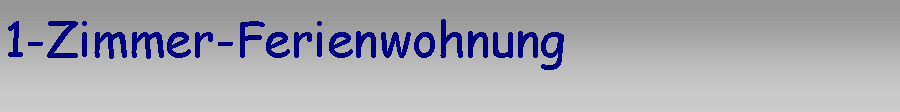 Textfeld: 1-Zimmer-Ferienwohnung